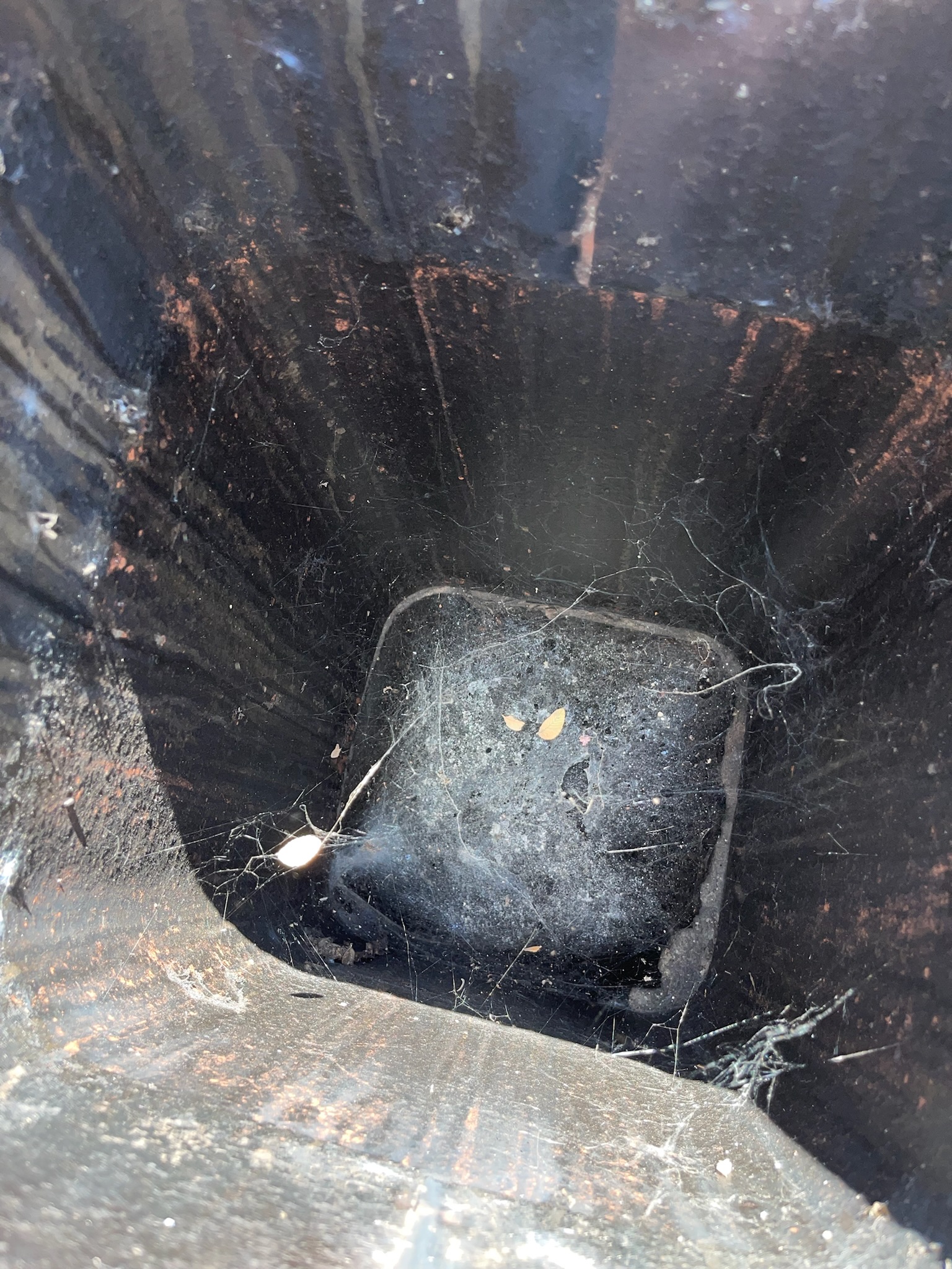 Clogged Chimney Needs Cleaning in Austin, Texas (Image Not Found)